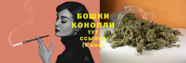 spice Балахна