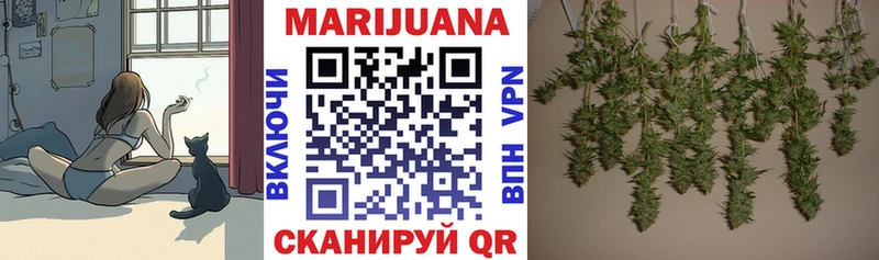 Шишки марихуана THC 21%  закладки  Будённовск 